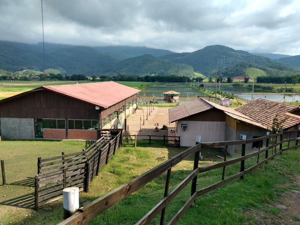 Sítio - Venda - Bairro São Paulo - Ascurra - SC