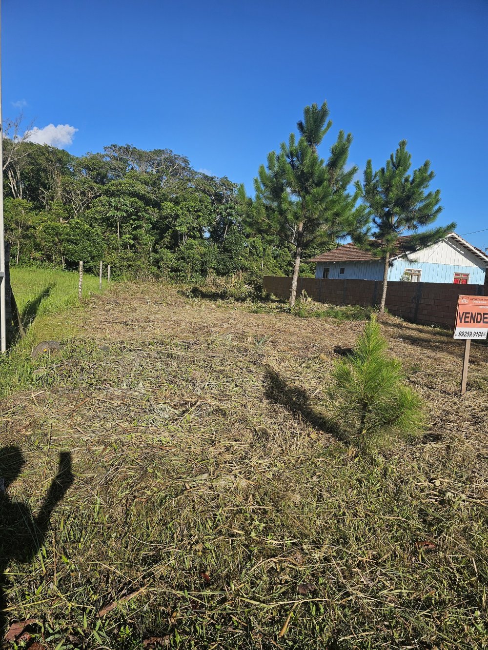 Lote - Venda - Praia Grande do Ervino - So Francisco do Sul - SC